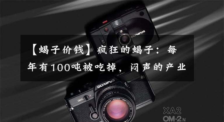 【蝎子价钱】疯狂的蝎子:每年有100吨被吃掉,闷声的产业背后到底有何隐患?