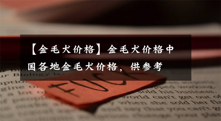 【金毛犬价格】金毛犬价格中国各地金毛犬价格，供参考