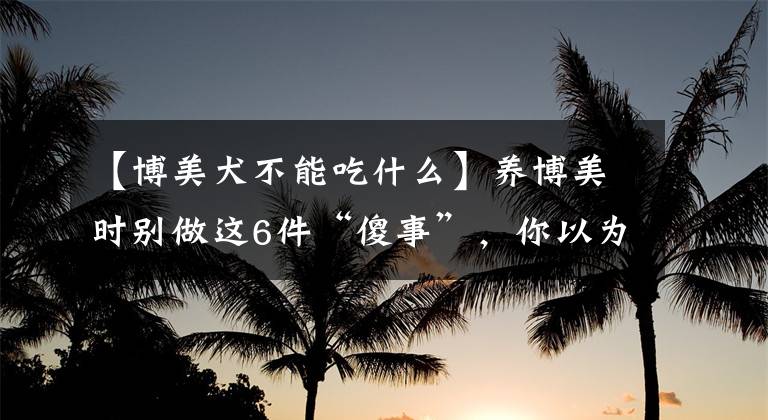 【博美犬不能吃什么】养博美时别做这6件“傻事”，你以为在对它好，其实它被你坑了！