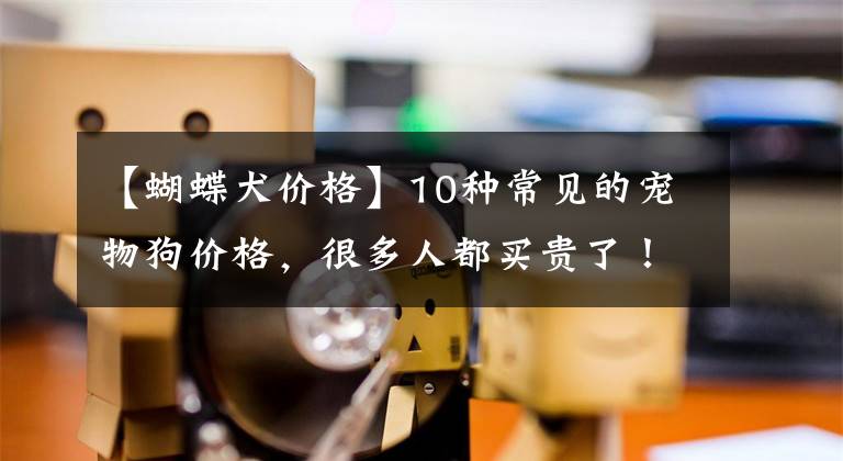 【蝴蝶犬价格】10种常见的宠物狗价格，很多人都买贵了！