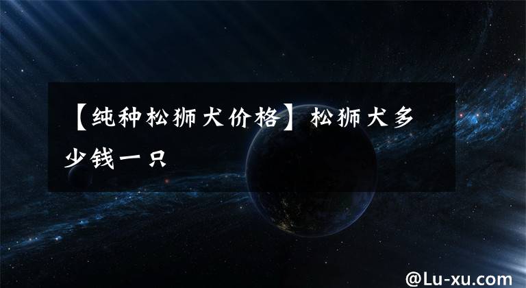 【纯种松狮犬价格】松狮犬多少钱一只