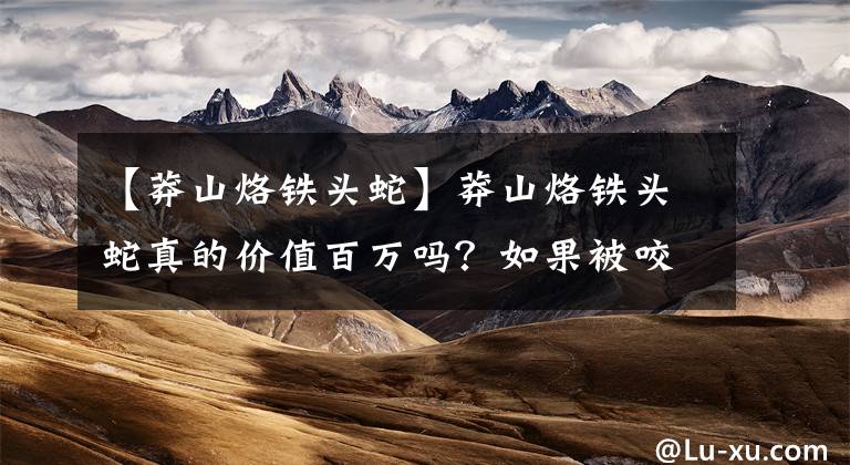 【莽山烙铁头蛇】莽山烙铁头蛇真的价值百万吗？如果被咬，打死它们会犯法吗？