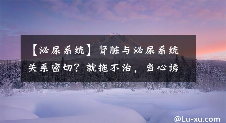 【泌尿系统】肾脏与泌尿系统关系密切？就拖不治，当心诱发这4大肾病并发症
