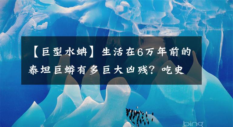 【巨型水蚺】生活在6万年前的泰坦巨蟒有多巨大凶残？吃史前巨鳄如吃辣条！