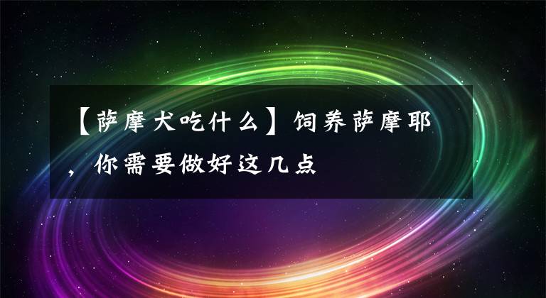 【萨摩犬吃什么】饲养萨摩耶，你需要做好这几点