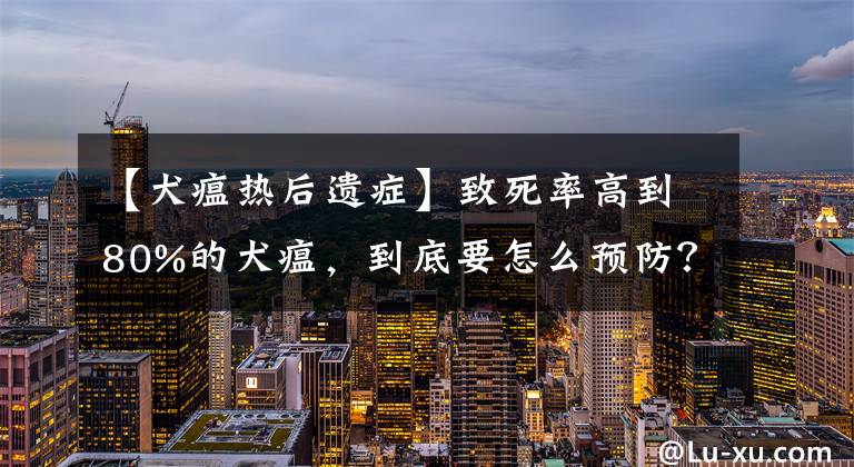 【犬瘟热后遗症】致死率高到80%的犬瘟，到底要怎么预防？