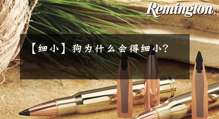 【细小】狗为什么会得细小？