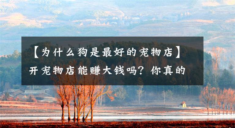 【为什么狗是最好的宠物店】开宠物店能赚大钱吗？你真的想多了。