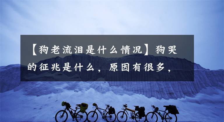 【狗老流泪是什么情况】狗哭的征兆是什么，原因有很多，但要想办法防止狗哭