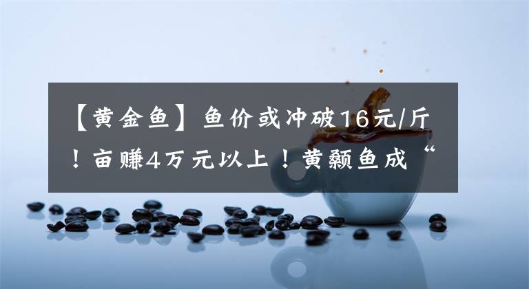 【黄金鱼】鱼价或冲破16元/斤！亩赚4万元以上！黄颡鱼成“黄金鱼”，还要暴涨？