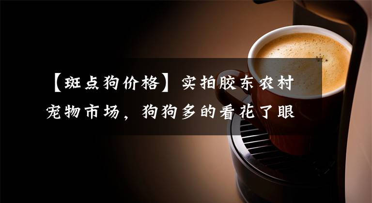 【斑点狗价格】实拍胶东农村宠物市场，狗狗多的看花了眼，你喜欢哪一种？
