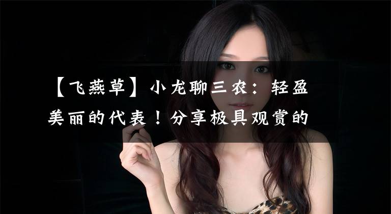 【飞燕草】小龙聊三农：轻盈美丽的代表！分享极具观赏的大花飞燕草种植经验