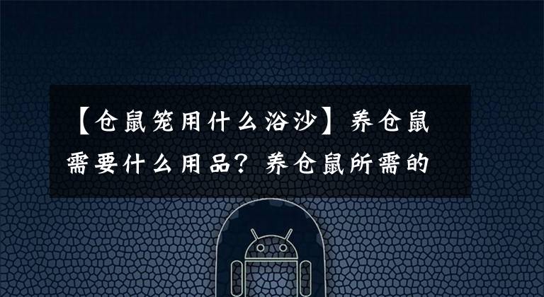 【仓鼠笼用什么浴沙】养仓鼠需要什么用品?养仓鼠所需的8种用品