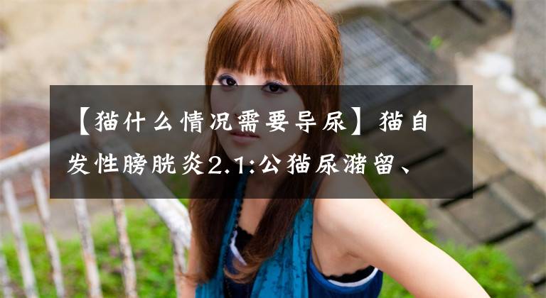【猫什么情况需要导尿】猫自发性膀胱炎2.1:公猫尿潴留、尿频、尿血、尿不出来、尿道堵塞。