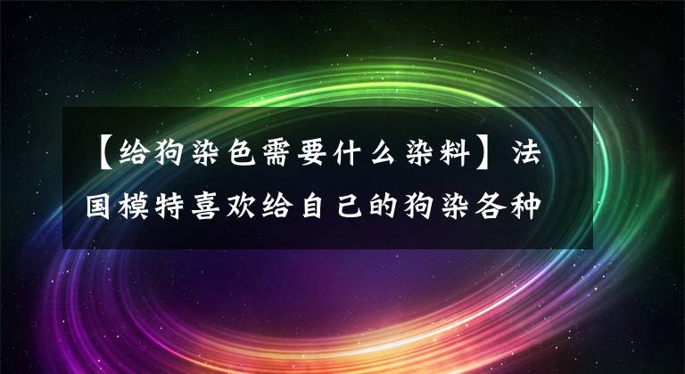 【给狗染色需要什么染料】法国模特喜欢给自己的狗染各种颜色，虽然很特别，但受到网民的质疑