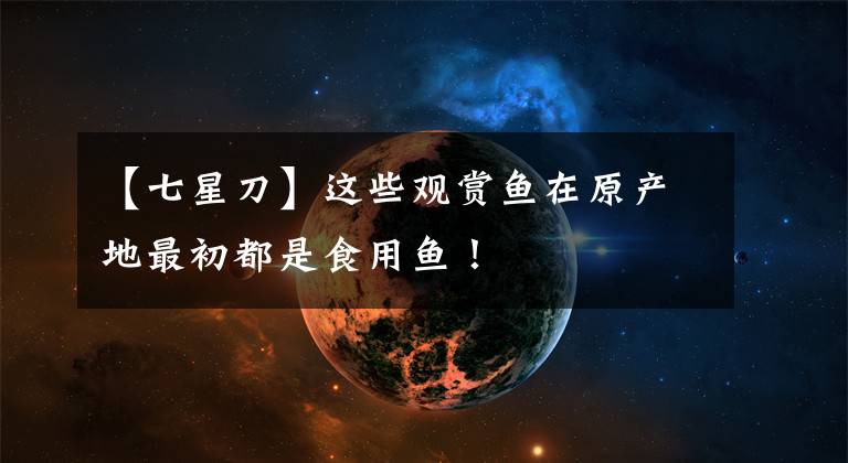 【七星刀】这些观赏鱼在原产地最初都是食用鱼!