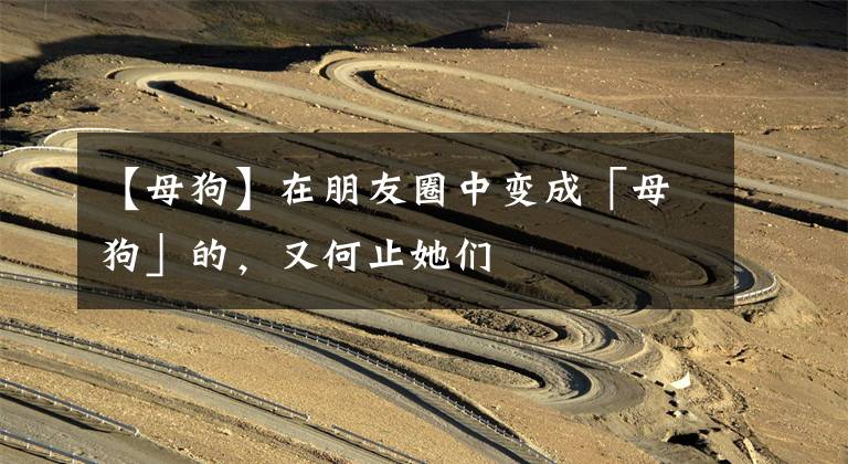 【母狗】在朋友圈中变成「母狗」的，又何止她们