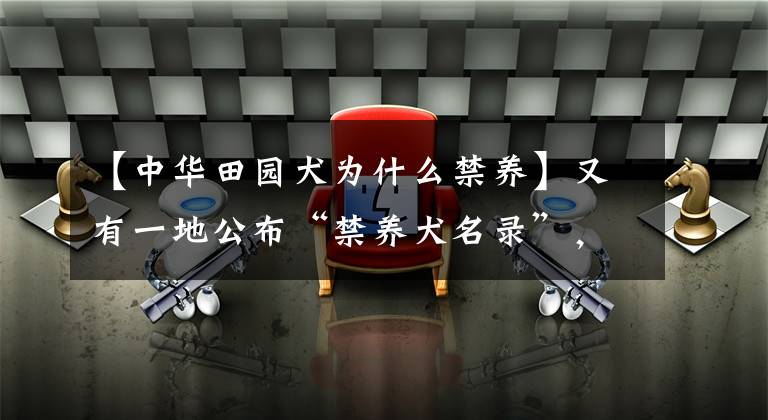 【中华田园犬为什么禁养】又有一地公布“禁养犬名录”，中华田园犬让网友炸锅了