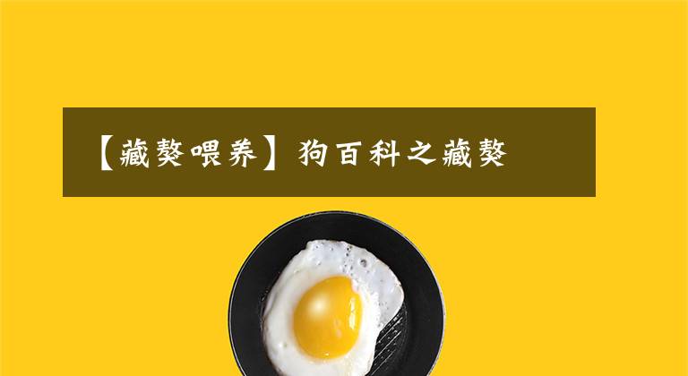 【藏獒喂养】狗百科之藏獒