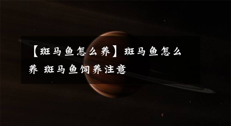 【斑马鱼怎么养】斑马鱼怎么养 斑马鱼饲养注意