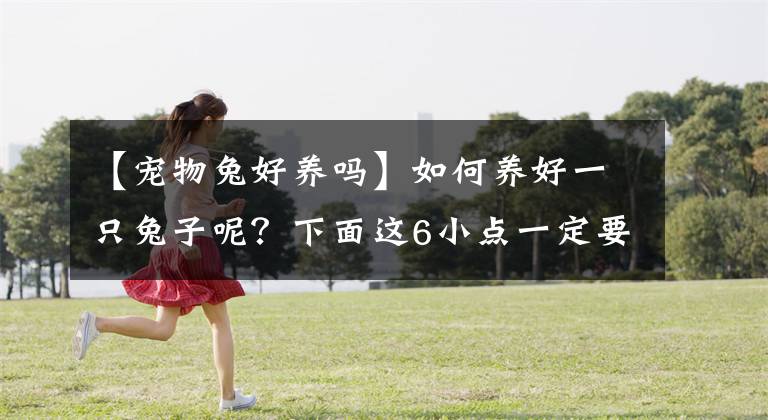 【宠物兔好养吗】如何养好一只兔子呢？下面这6小点一定要记牢了呀