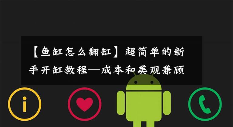 【鱼缸怎么翻缸】超简单的新手开缸教程—成本和美观兼顾