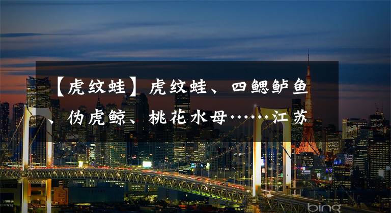 【虎纹蛙】虎纹蛙、四鳃鲈鱼、伪虎鲸、桃花水母……江苏有165种珍稀濒危物种