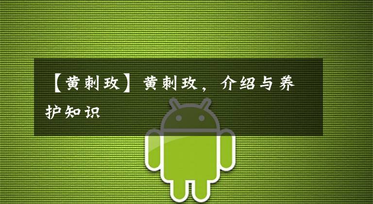 【黄刺玫】黄刺玫,介绍与养护知识