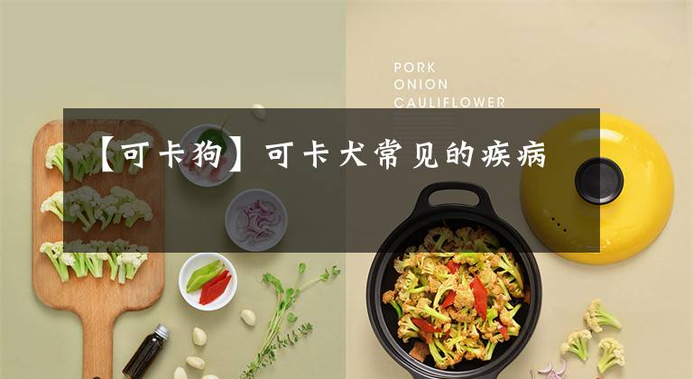 【可卡狗】可卡犬常见的疾病