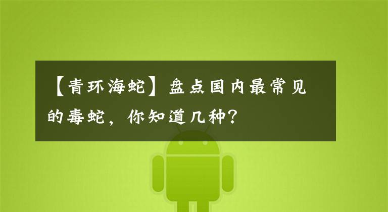 【青环海蛇】盘点国内最常见的毒蛇，你知道几种？