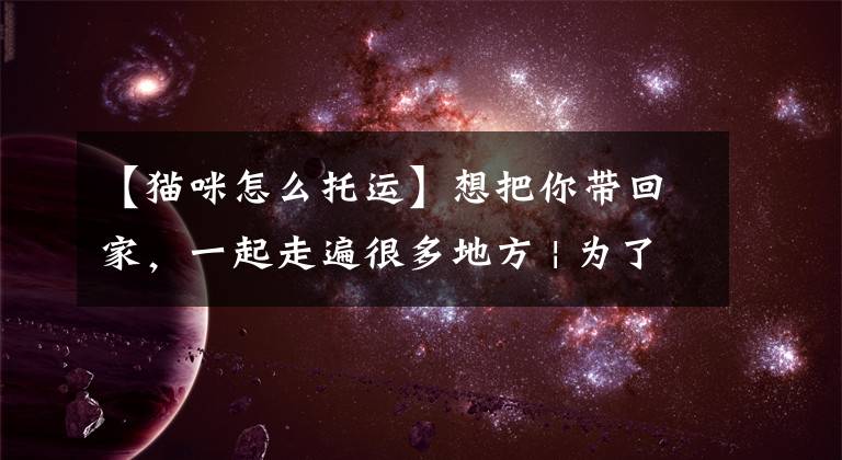 【猫咪怎么托运】想把你带回家,一起走遍很多地方 | 为了爱宠,一定要收藏这篇宠物托运干货