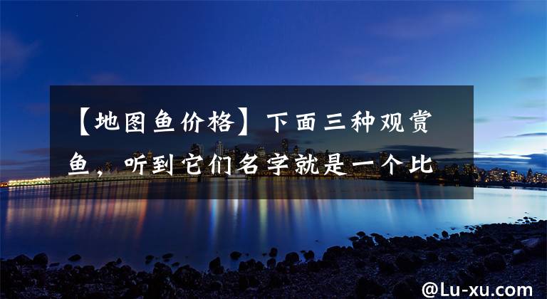 【地图鱼价格】下面三种观赏鱼,听到它们名字就是一个比一个凶猛,但是极易饲养