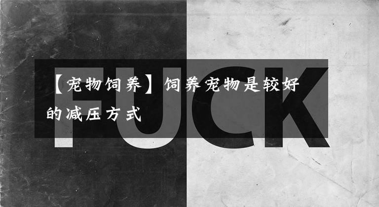 【宠物饲养】饲养宠物是较好的减压方式