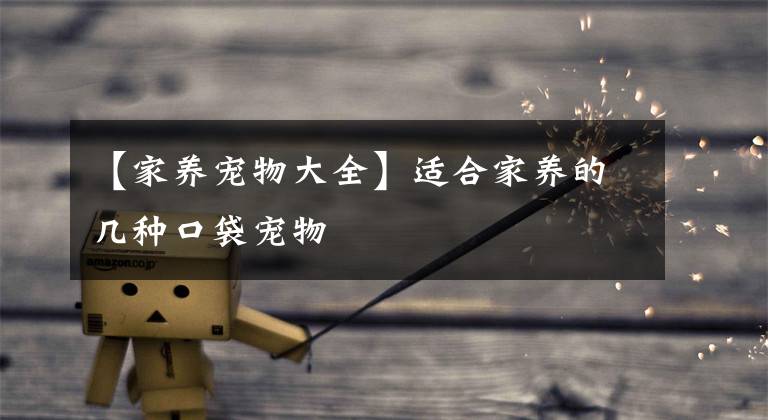 【家养宠物大全】适合家养的几种口袋宠物