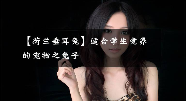 【荷兰垂耳兔】适合学生党养的宠物之兔子