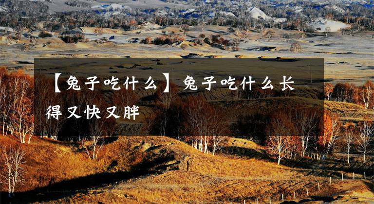 【兔子吃什么】兔子吃什么长得又快又胖