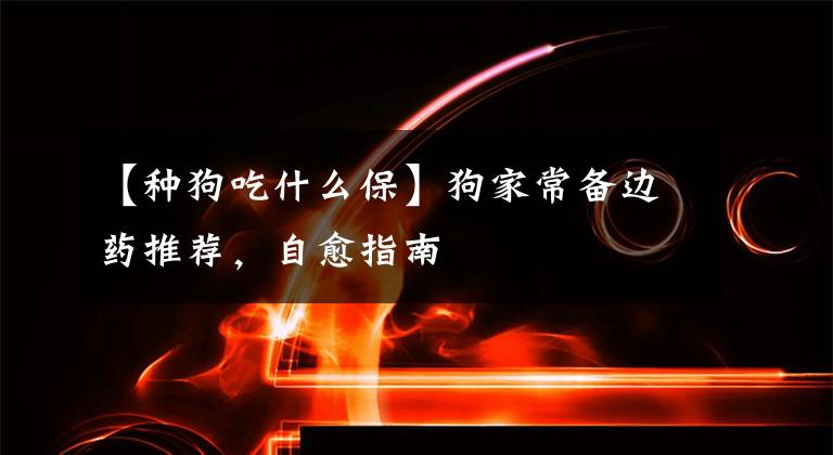 【种狗吃什么保】狗家常备边药推荐,自愈指南