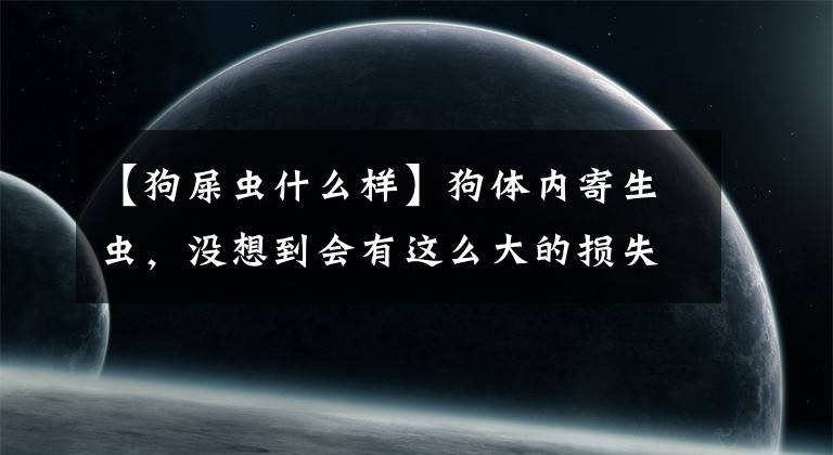 【狗屎虫什么样】狗体内寄生虫，没想到会有这么大的损失！