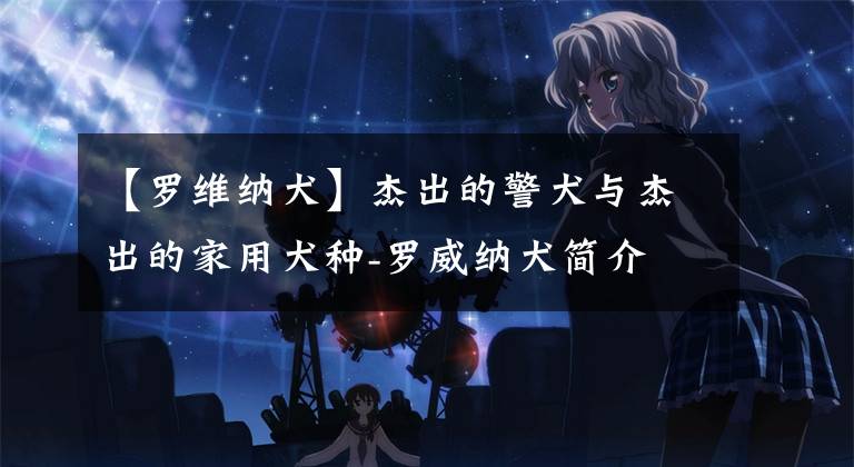 【罗维纳犬】杰出的警犬与杰出的家用犬种-罗威纳犬简介