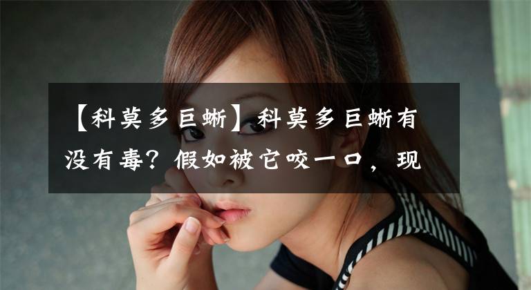 【科莫多巨蜥】科莫多巨蜥有没有毒？假如被它咬一口，现在的医学水平还能救吗？