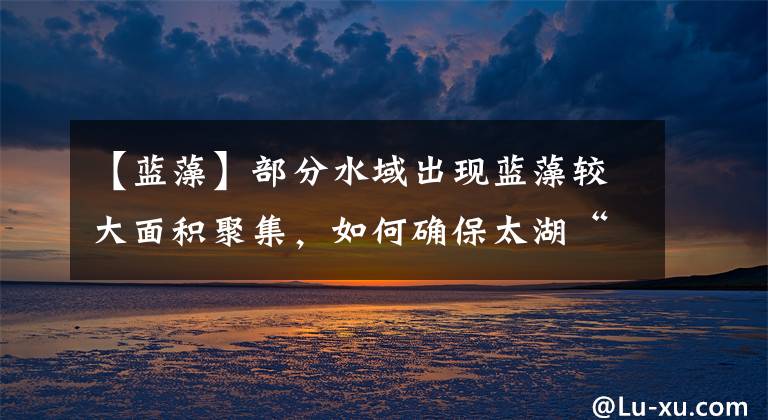 【蓝藻】部分水域出现蓝藻较大面积聚集，如何确保太湖“安全度夏”？