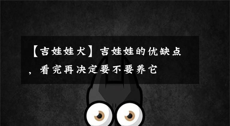 【吉娃娃犬】吉娃娃的优缺点，看完再决定要不要养它