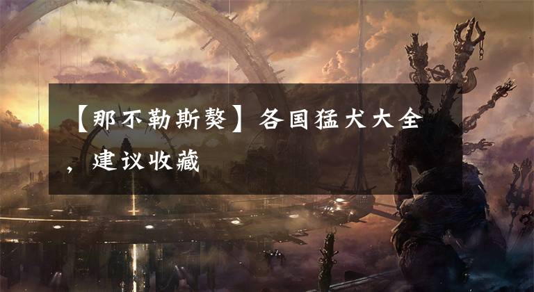 【那不勒斯獒】各国猛犬大全，建议收藏