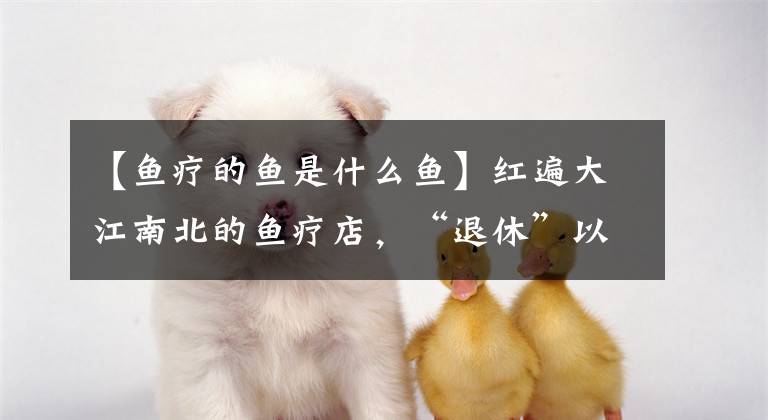 【鱼疗的鱼是什么鱼】红遍大江南北的鱼疗店,“退休”以后的小鱼,最后的结局如何?