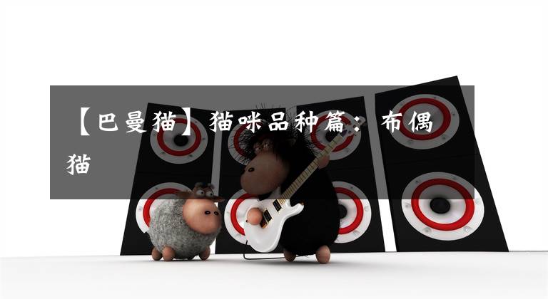 【巴曼猫】猫咪品种篇:布偶猫