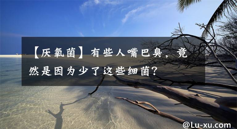 【厌氧菌】有些人嘴巴臭，竟然是因为少了这些细菌？