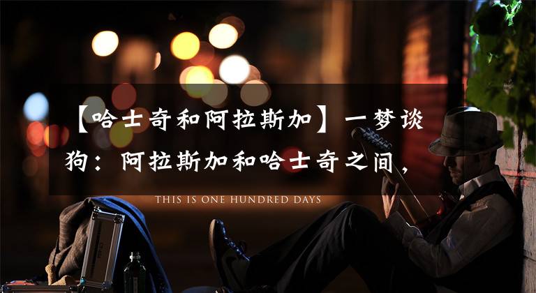 【哈士奇和阿拉斯加】一梦谈狗：阿拉斯加和哈士奇之间，永远差着二两气质~