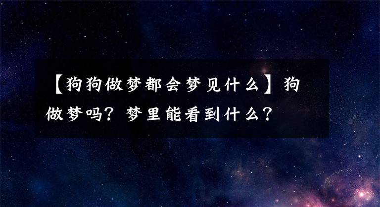 【狗狗做梦都会梦见什么】狗做梦吗？梦里能看到什么？
