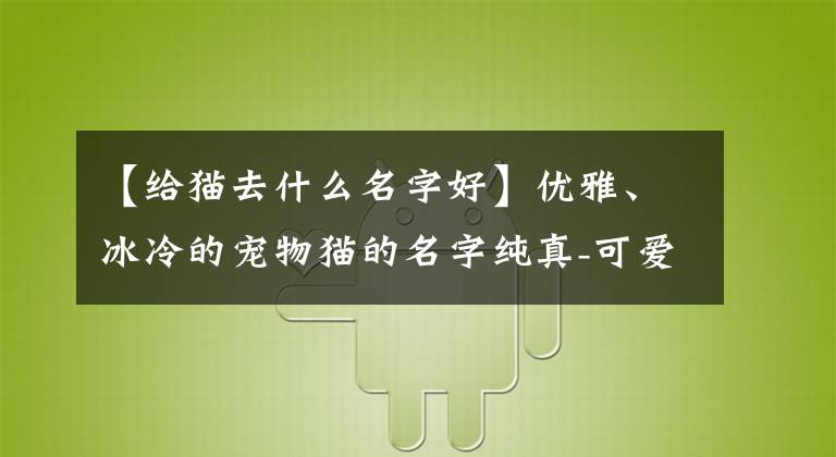 【给猫去什么名字好】优雅、冰冷的宠物猫的名字纯真-可爱