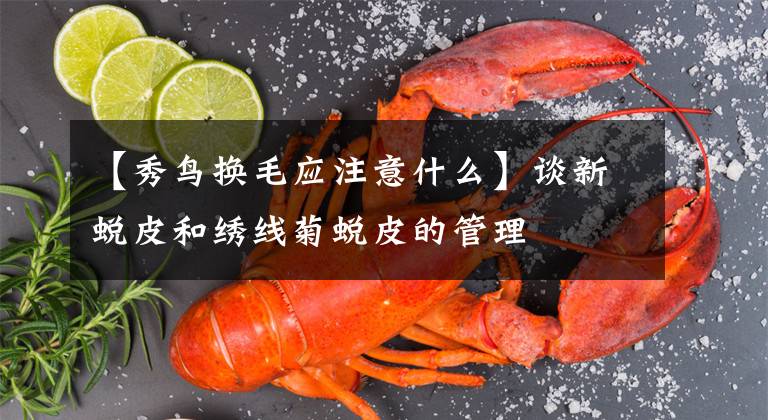 【秀鸟换毛应注意什么】谈新蜕皮和绣线菊蜕皮的管理